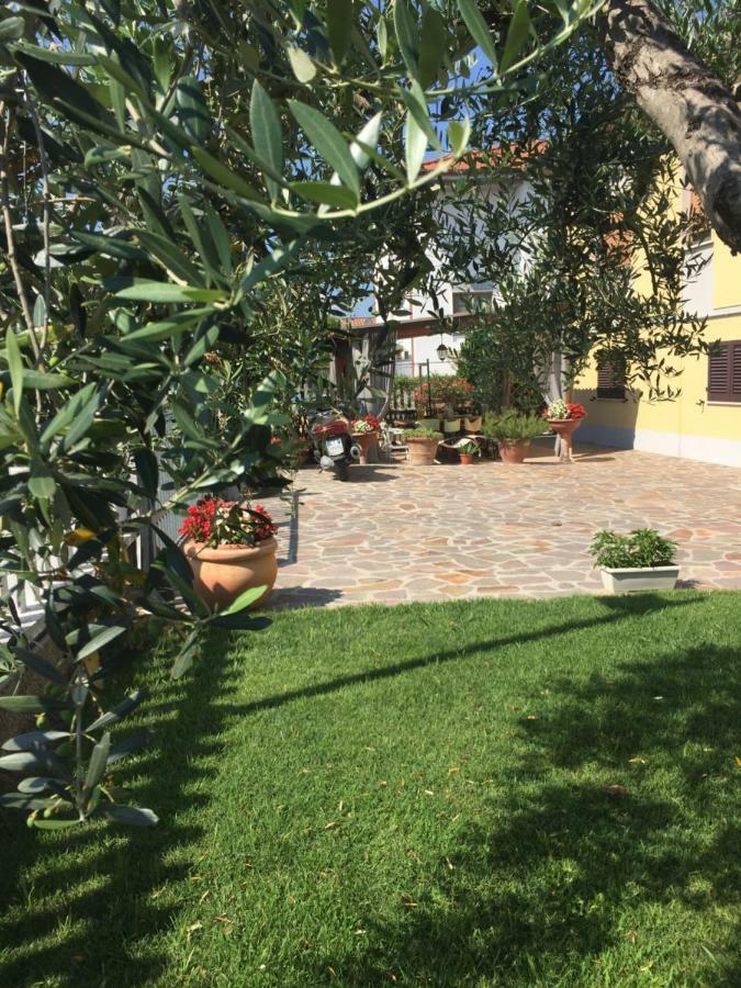Luca'S Home In Tuscany Arena Metato Extérieur photo